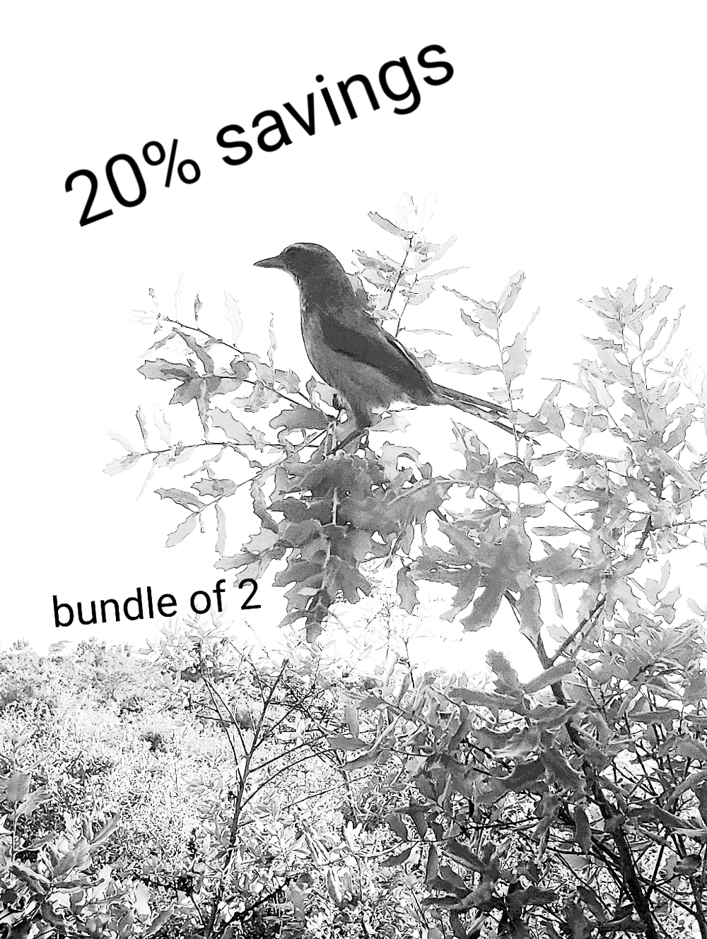 SAVE 20% On Everything